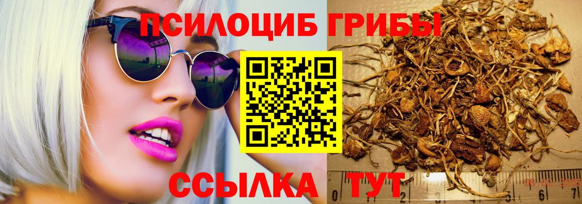 Псилоцибиновые грибы мухоморы Томск