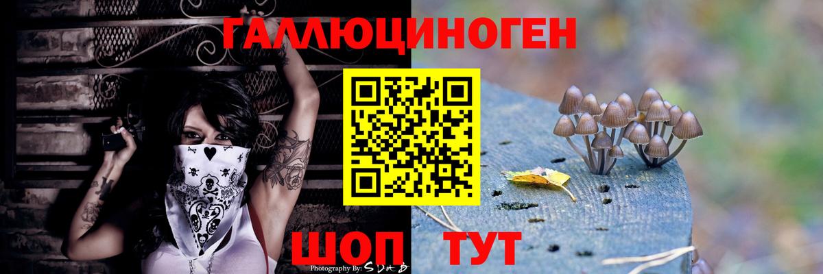 Галлюциногенные грибы Psilocybe  Вход с VPN  купить наркотик  Томск 